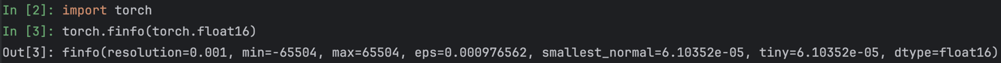 torchFP16