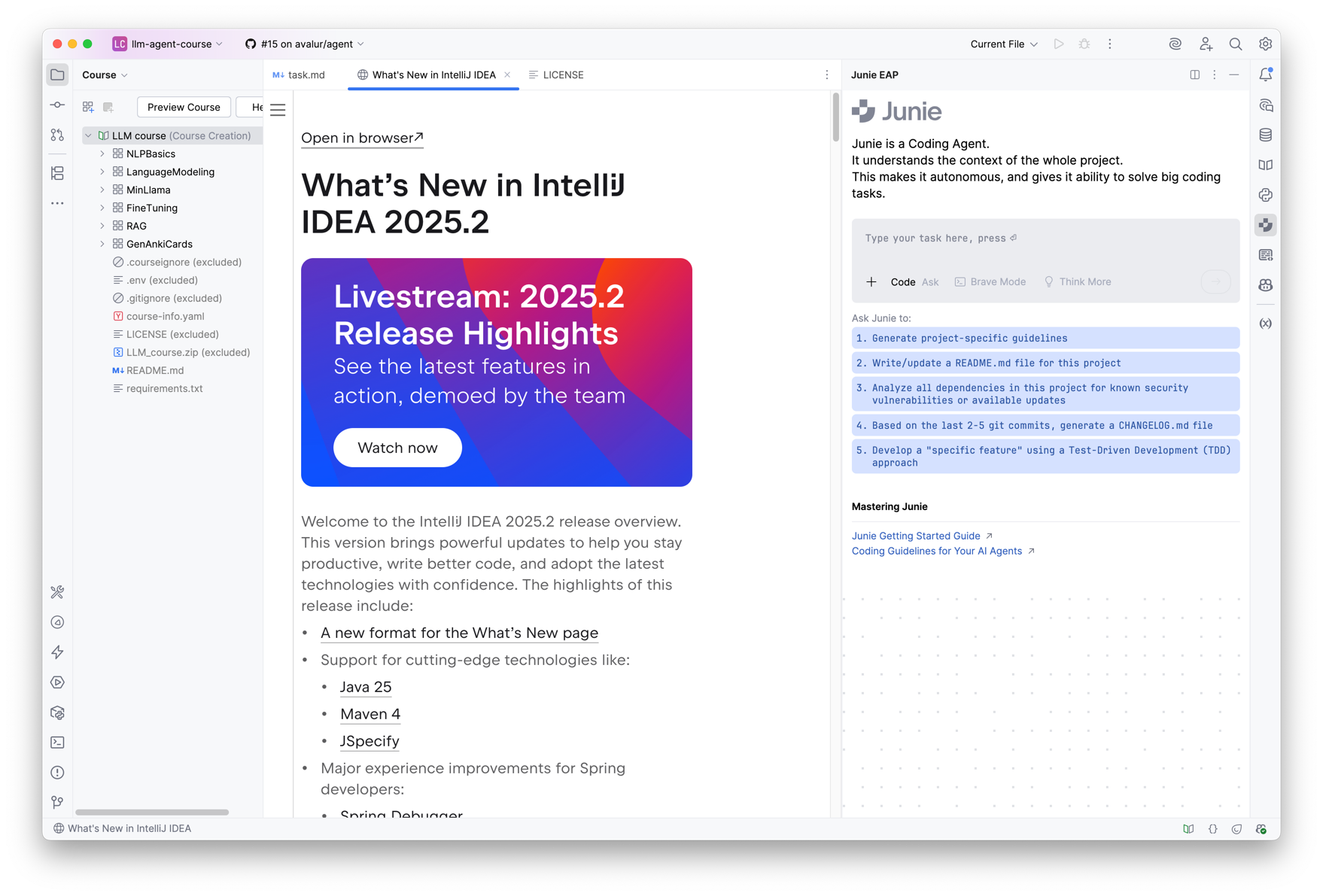 IDEA2025.2